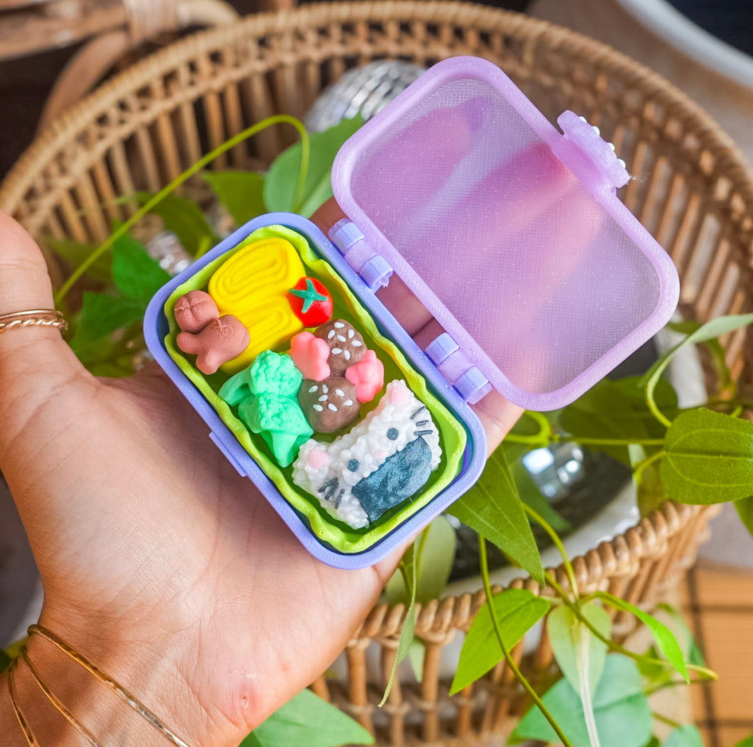 Bento Box Fidget Toy