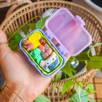 Bento Box Fidget Toy