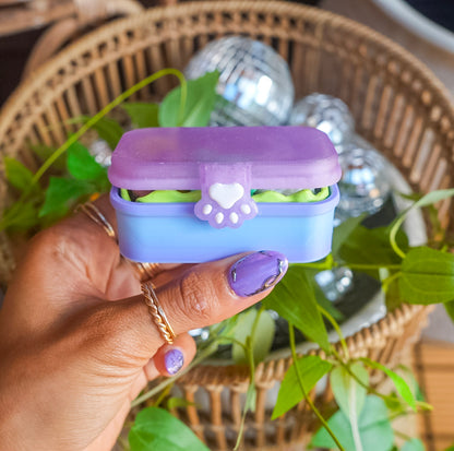 Bento Box Fidget Toy