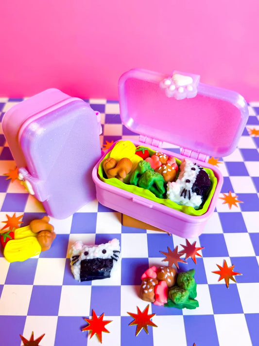 Bento Box Fidget Toy