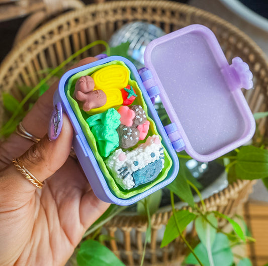 Bento Box Fidget Toy